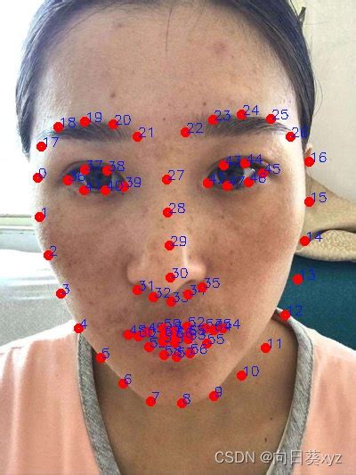 基于人脸68特征点识别的美颜算法一 大眼算法 C opencv 68特征 c CSDN博客