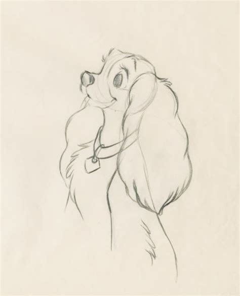 Disney Drawings Lady And The Tramp Sketch