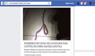 Mulher confunde linguiça cobra e pede socorro aos bombeiros em MG