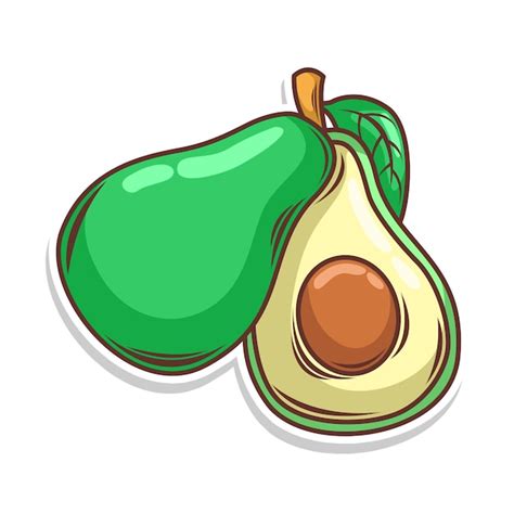 Premium Vector Avocado Fruit Doodle Hand Draw Vector Illustration