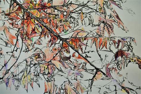 Jane Sproston Art : Autumn Colours