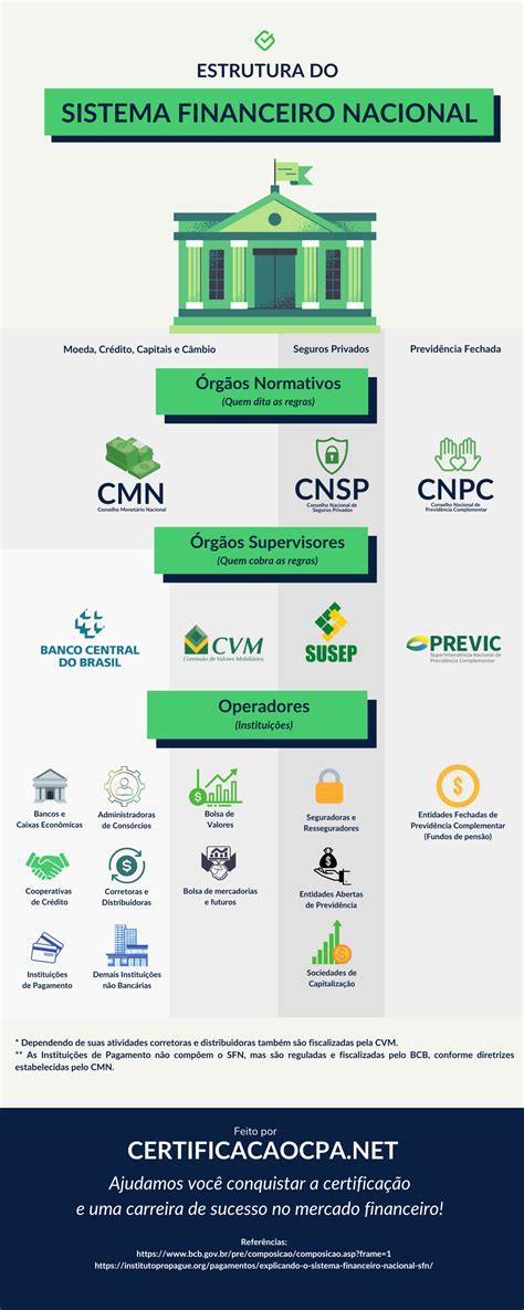 Infogr Fico Sistema Financeiro Nacional O Que E Estrutura