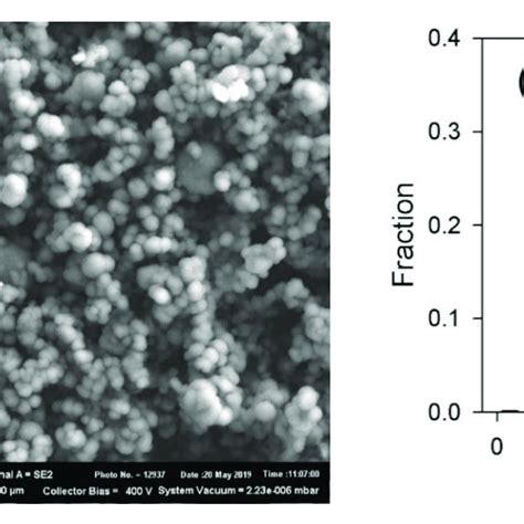 A Sem Image Of Magnetite Particles B Particle Size Distribution Download Scientific