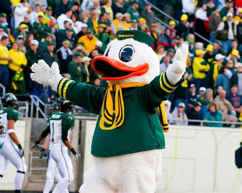 Oregon Ducks Mascot Puddles At Autzen Stadium Poster by Joshua Rainey