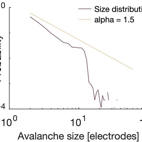 Raster Plots And Avalanche Size Distributions Before And After Chemical