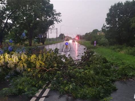 Nawa Nica Przechodzi Nad Powiatem Stra Acy Wyje D Aj Do Powalonych