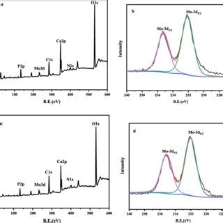 Xps Spectra Of A Pmim Pmo Hap Survey Spectrum B Mo D