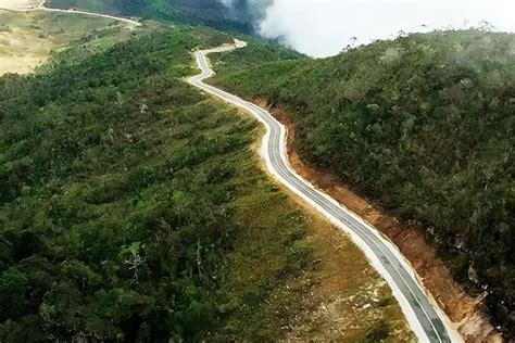 Panen Kopi Hingga 12 Ton Lahan Tidur Di Jalan Nasional Papua Ditanami