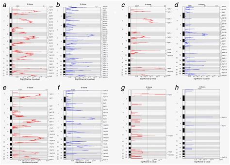 Characterization Of Genomic Imbalances In Diffuse Large Bcell Lymphoma