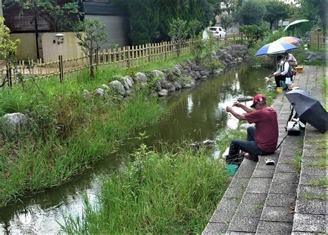 初秋の水元公園へタナゴ釣り！ パラダイス