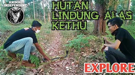 Explore Hutan Lindung Alas Kethu Youtube