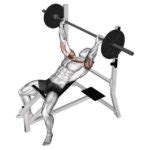 Incline Barbell Bench Press Expert Tips Inside