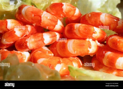 Cooked Tiger Prawns Stock Photo Alamy