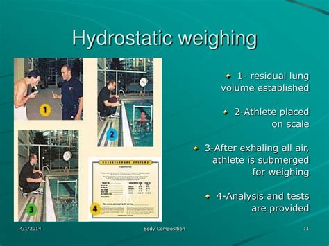 Ppt Body Composition Powerpoint Presentation Free Download Id539502