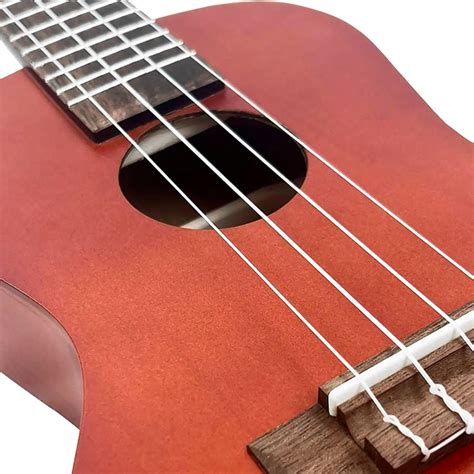 Ukulele Giannini Start Uks Ns Concert Natural Satin C Bag Ukulele