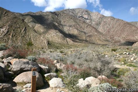 Borrego Palm Canyon Trail | Anza-Borrego Desert State Park | Hikespeak.com