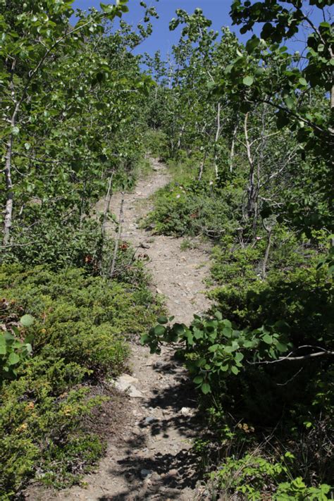 Celebrating World Naked Hiking Day The Right Way The Explorenorth Blog