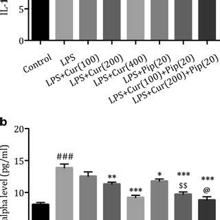 Effect Of Curcumin Piperine And Combination Pretreatment On