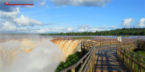 Ecotourism in the Iguazu Falls with safaris living natural biodiversity.