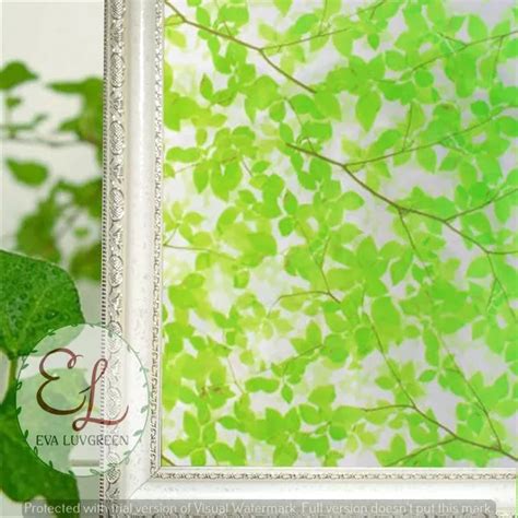 Eva Luvgreen Stiker Kaca Motif Daun Hijau Ranting Ukuran X Cm