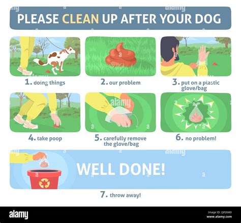 Clean up dog poop vector infographic set Stock Vector Image & Art - Alamy