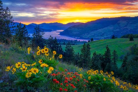 Oregon The Hidden Landscape Photography Of Nature And The Soul