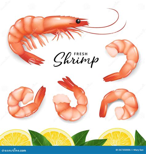 Realistic Shrimp Prawn And Lemon Icons Set Boiled Shrimp Drawing On A