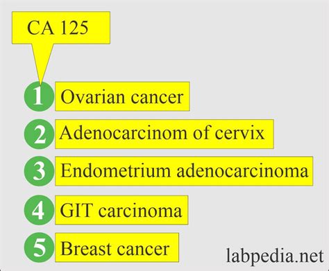 Tumor Markers Part Ca And Ca Labpedia Net