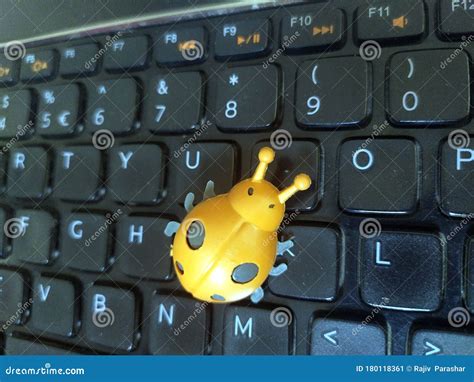 A Plastic Leady Bug on Black Laptop Keyboard Stock Image - Image of ...