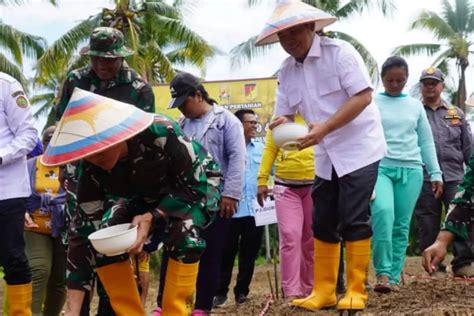 Penjagub Gorontalo Canangkan Gerakan Tanam Padi Gogo Gorontalo Post