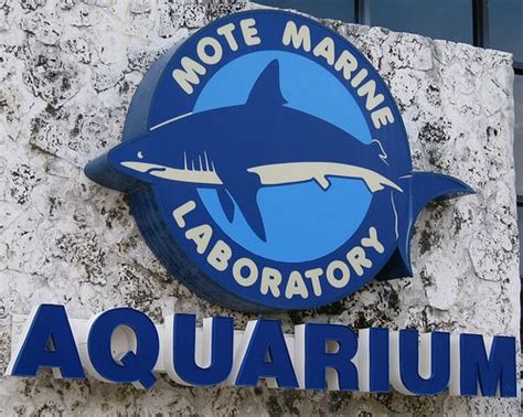 Mote Marine Laboratory - YoNinja - Restaurants, Hotels, and Reviews