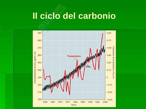 Ecologia Cicli Biogeochimici