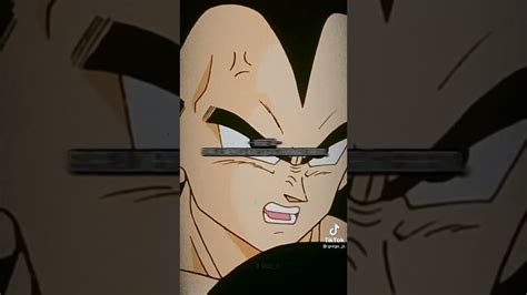 Vegeta Regaña A Gohan Youtube