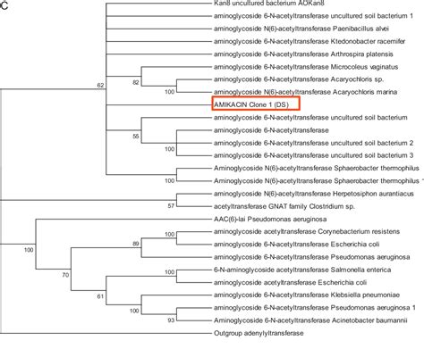 Figure 1 From Nctional Metagenomic Analysis Reveals Rivers Are A