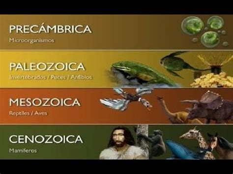 ERAS GEOLÓGICAS Enseñanza de la historia Evolucion de la vida La