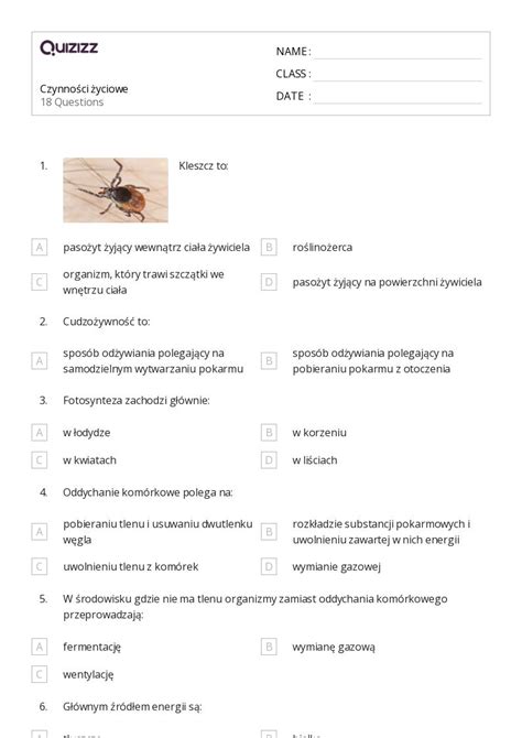 Ponad Powierzchnia Arkuszy Roboczych Dla Klasa W Quizizz Darmowe