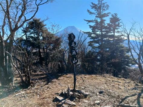 毛無山（三角点）・毛無山（最高点）・大見岳・タカデッキ・雨ヶ岳・竜ヶ岳 ひらぴろさんの毛無山・雨ヶ岳・竜ヶ岳の活動データ Yamap