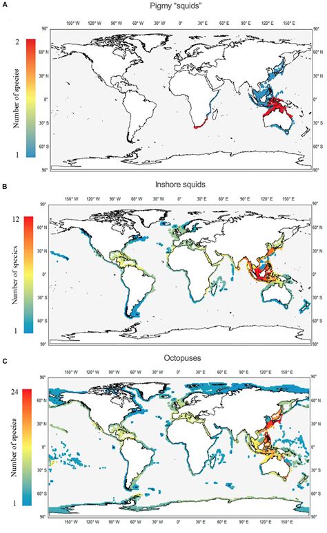 What Is The General Global Pattern Of Species Richness