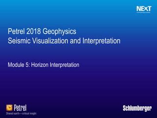 Petrel F Horizon Interpretation V Ppt