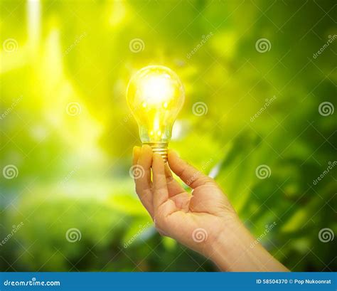 Hand Holding A Light Bulb With Energy On Fresh Green Nature Background