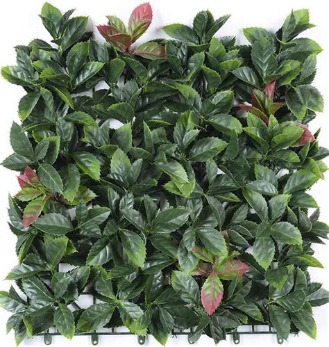 China Uv Protected Artificial Plastic Boxwood Fern Plant Hedge Privacy