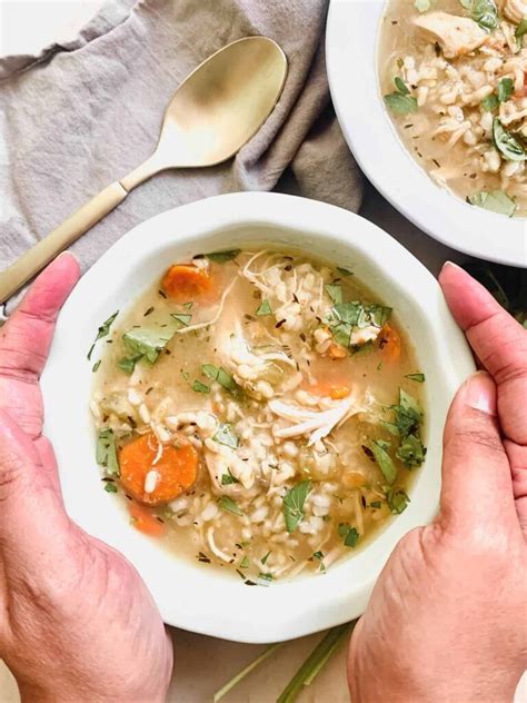 Instant Pot Chicken And Brown Rice Soup Big Delicious Life