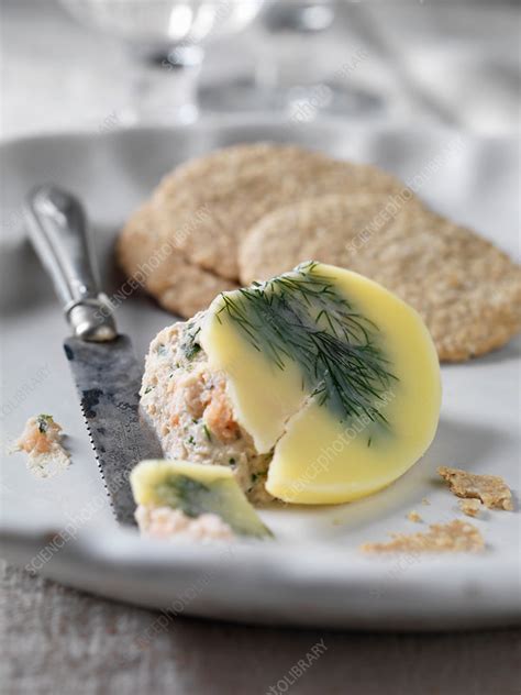 Plate of salmon pate with crackers - Stock Image - F018/7924 - Science ...