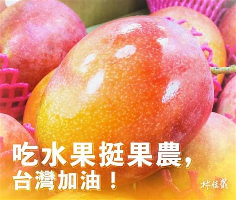 林佳龍買200箱芒果挺果農 黃偉哲感謝協助行銷 生活 中時