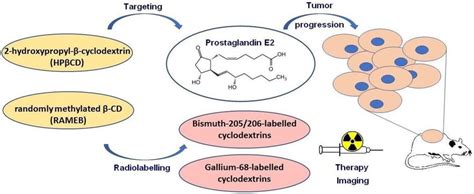 Ijms Free Full Text Overview Of Prostaglandin E2 Pge2 Targeting