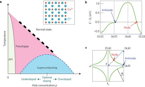 Cuprate Phase Diagram