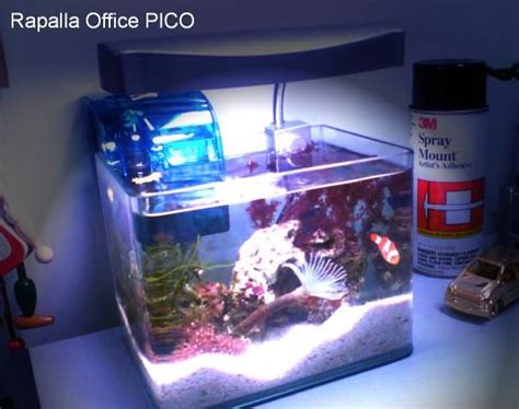 Office Pico Tank Shots Nano Reef Community