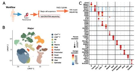 Genome Biology Parallel Single Cell And Bulk Transcriptome Analyses