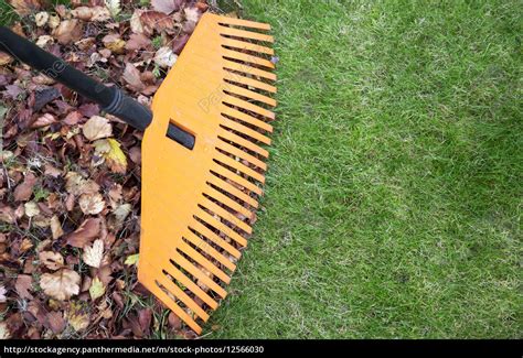 Rake and leaves - Stock image #12566030 | PantherMedia Stock Agency