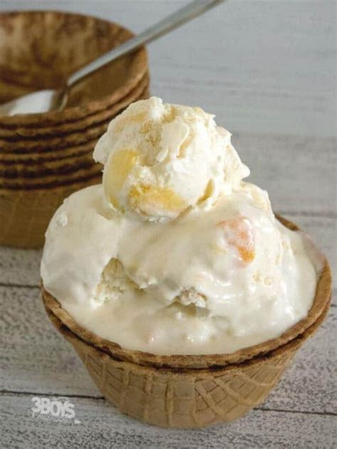 Tropical No Churn Ice Cream Recipe - 3 Boys and a Dog